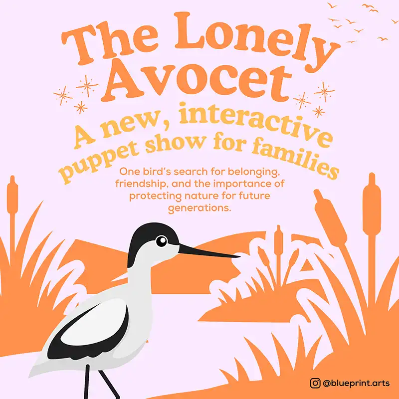 The Lonely Avocet - Blueprint Arts